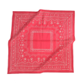 Hank Bandana