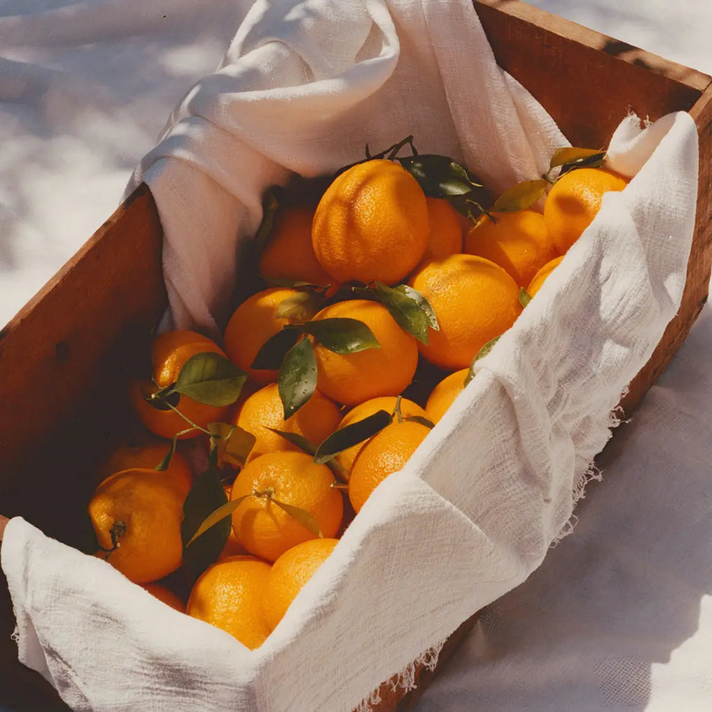 Ruby Valencia & Apricot Fruit Spread