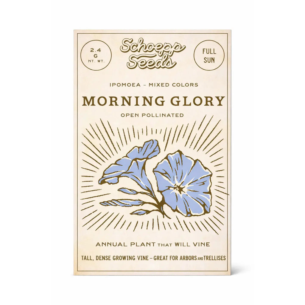 Morning Glory, Heirloom Garden Seed Packets