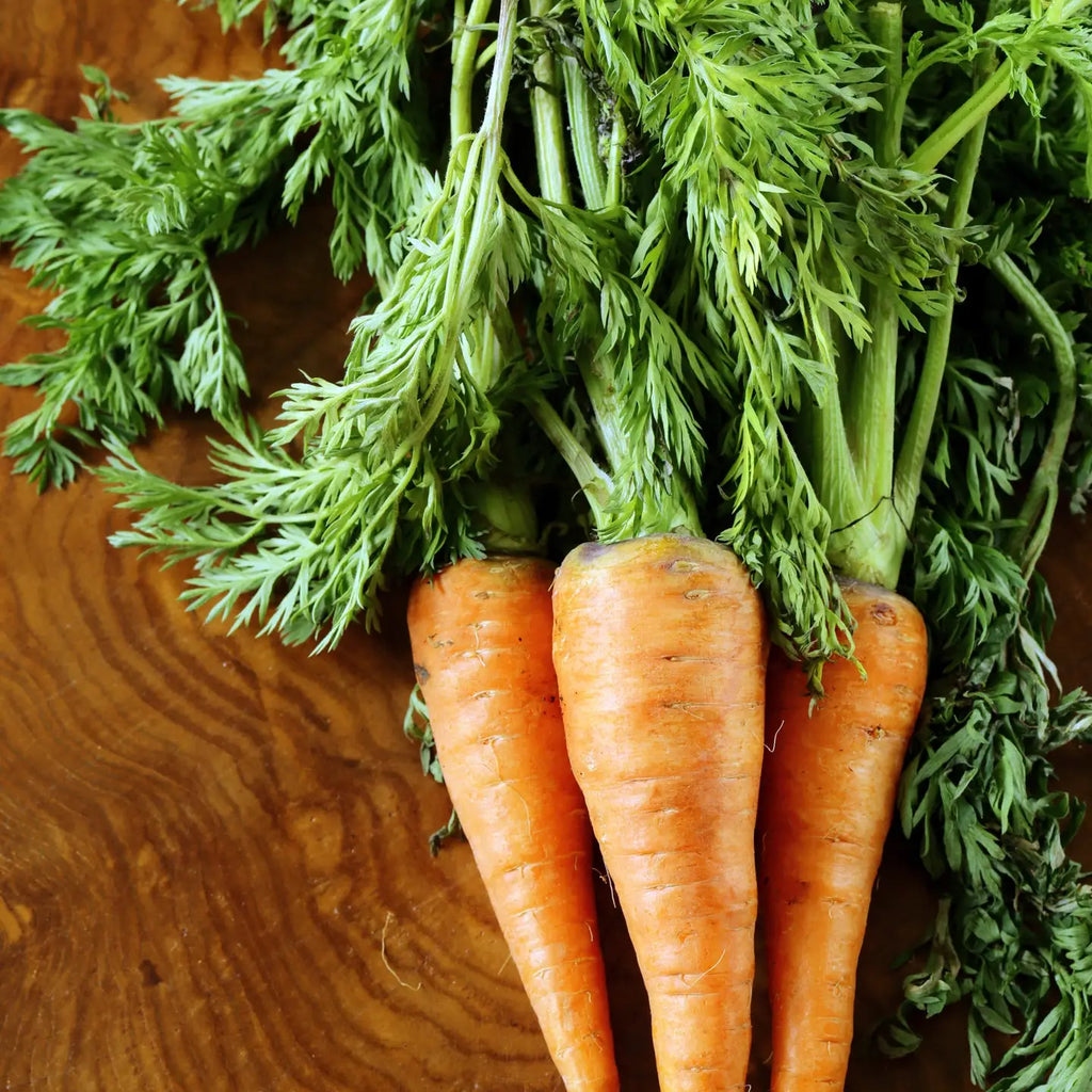 Carrot, Half Long Heirloom Garden Seed Packets