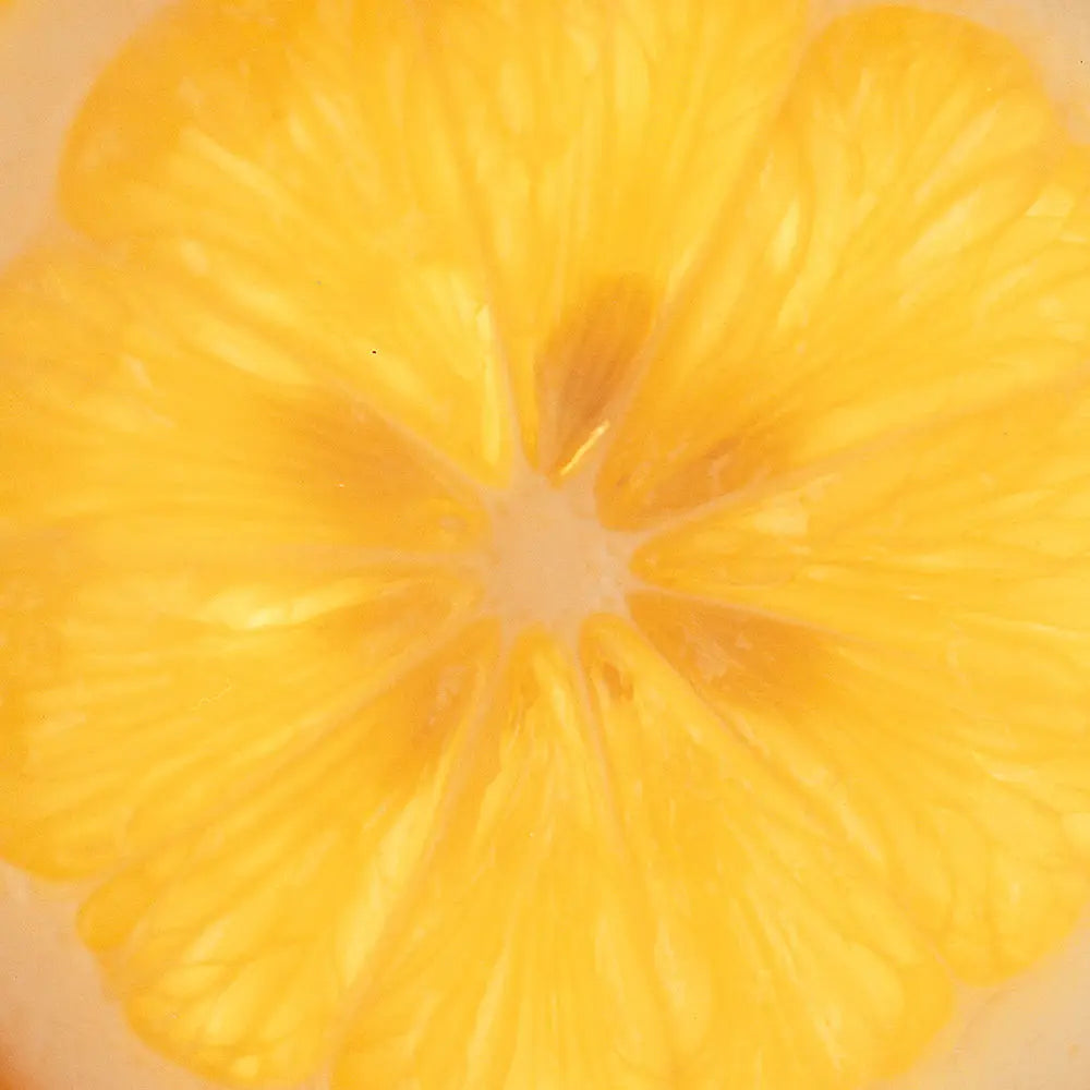 Meyer Lemon & Honey Marmalade